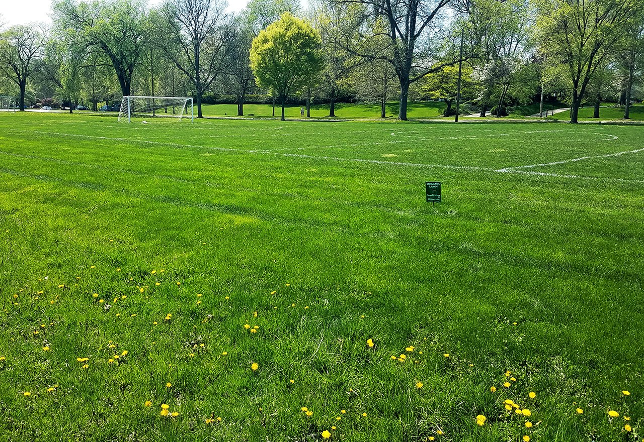 How to Kill Clover Without Chemicals